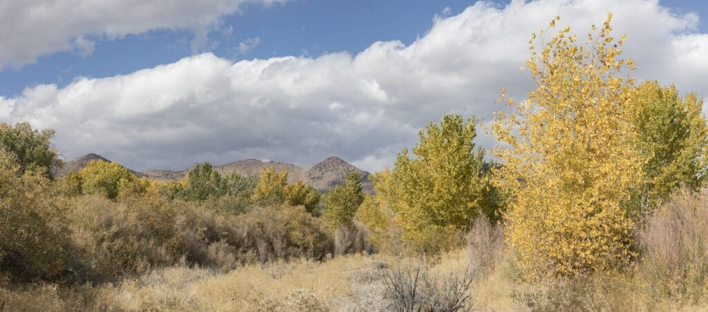 Dayton State Park Fall Color